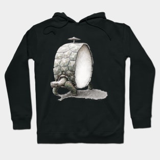 turtle Hoodie